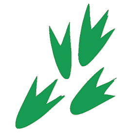 YARDU