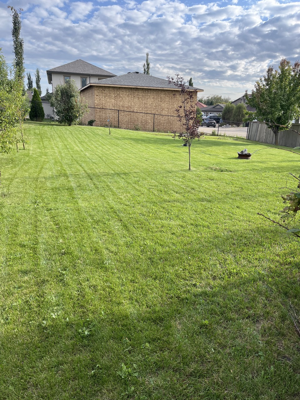 Lawn After